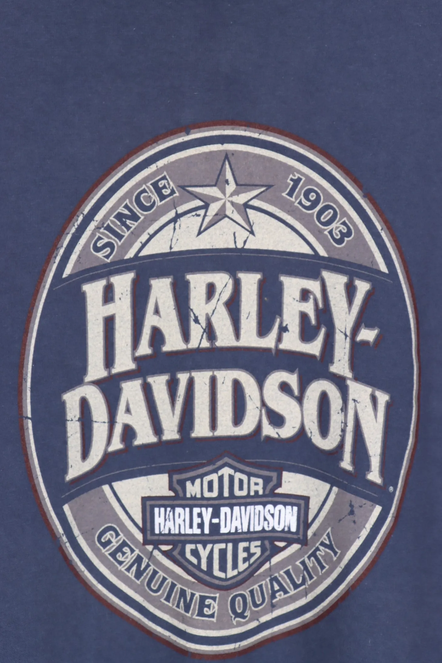 HARLEY DAVIDSON BEARTOOTH COWBOYS & CATTLE GRAPHIC TEE (