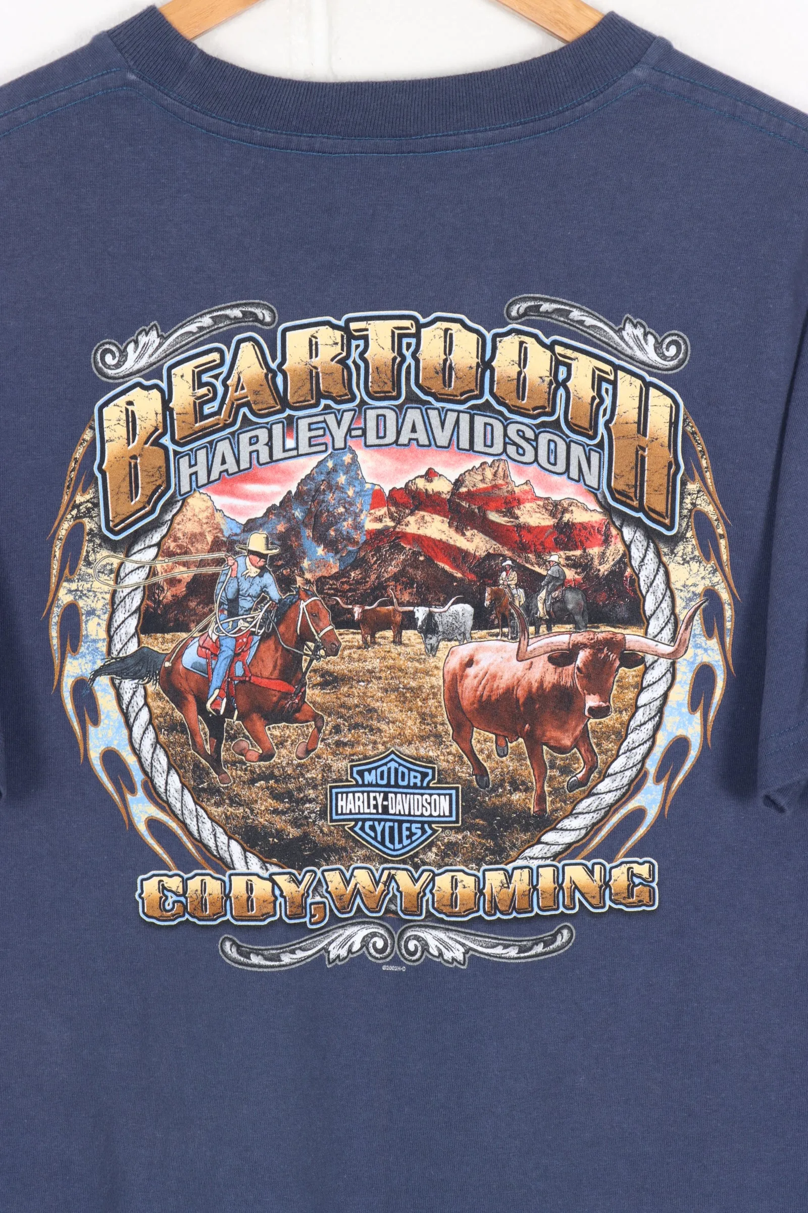 HARLEY DAVIDSON BEARTOOTH COWBOYS & CATTLE GRAPHIC TEE (